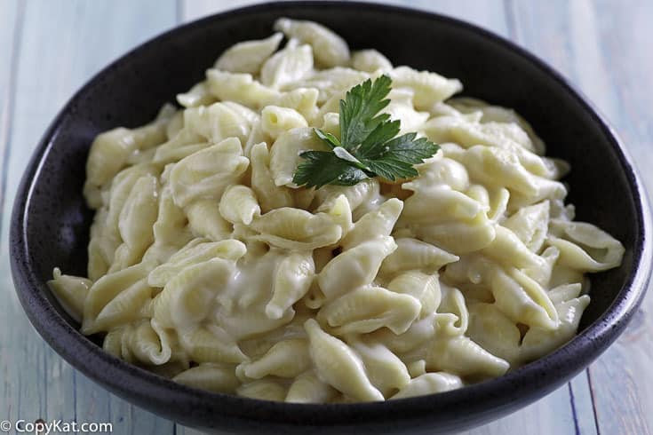 a bowl of homemade Panera Bread Macaroni and Cheese