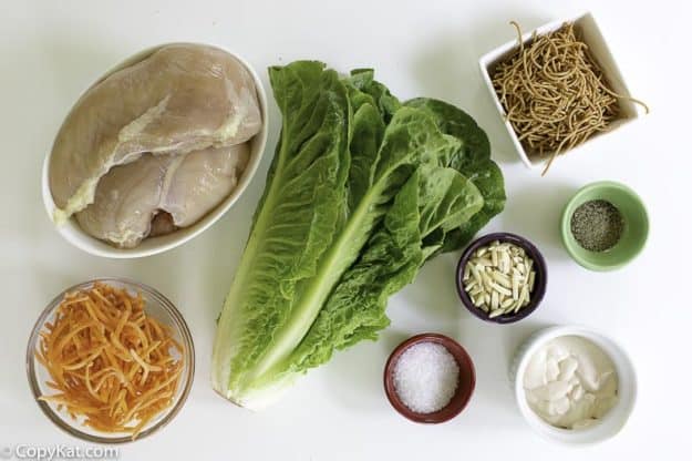 ingredients for grilled chicken asian salad