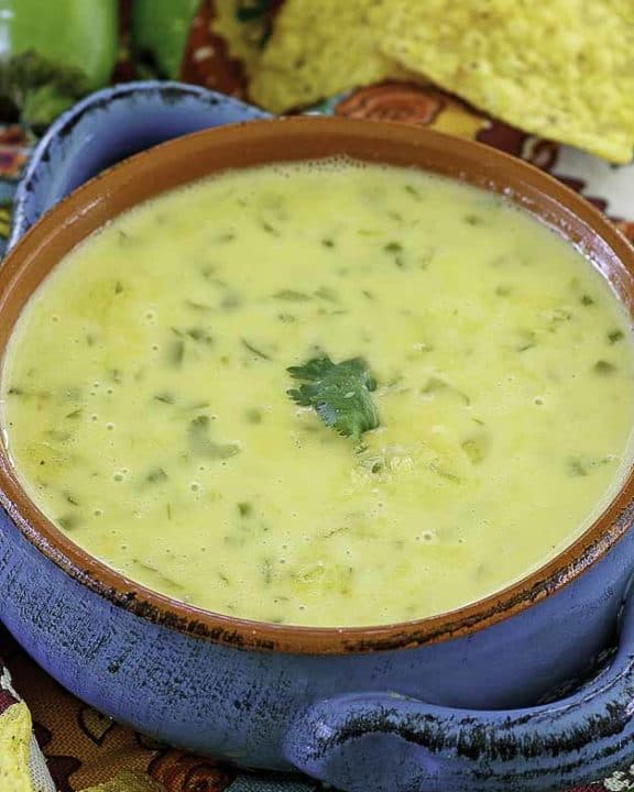 Queso with cheese, chilies, celery, and onions
