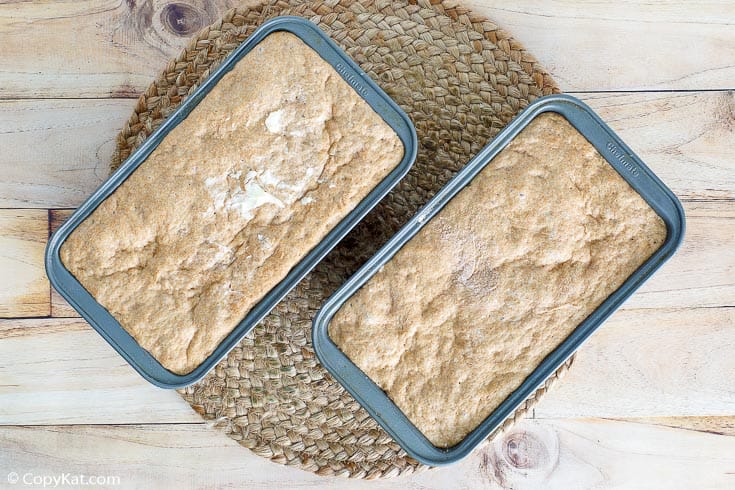 two loaves of homemade fluffy whole grain wheat bread
