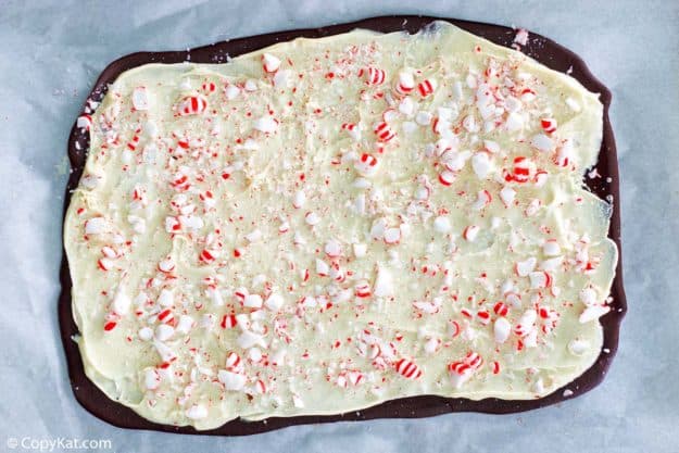peppermint bark before broken into pieces