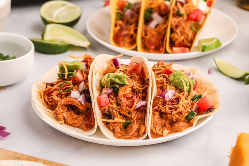 three soft shredded chicken tacos in front of three crunchy chicken tacos