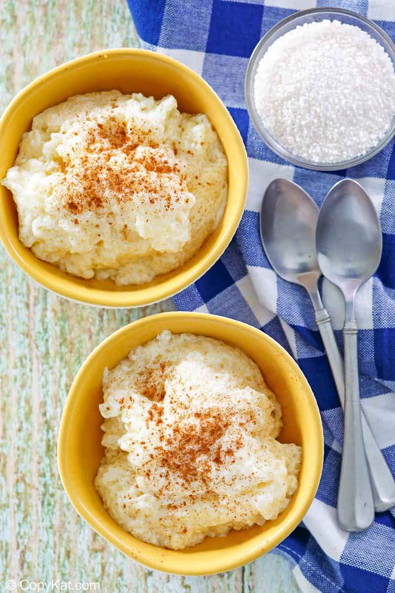 overhead view of two bowls of homemade tapioca pudding