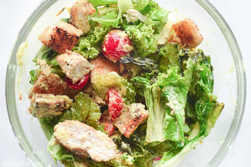 freshly tossed chicken Caesar salad in a bowl