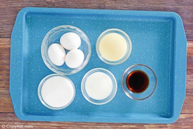 homemade vanilla ice cream ingredients on a tray