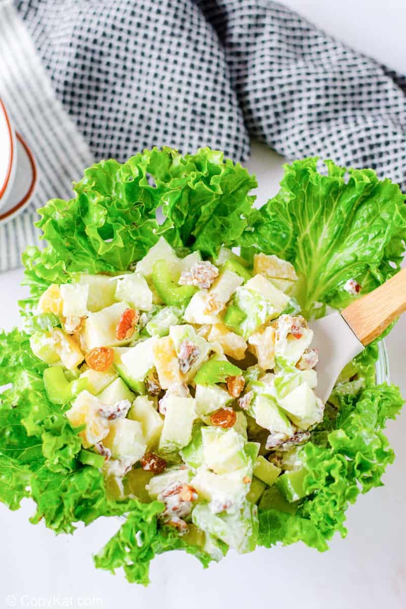 Waldorf Salad and a spoon in a lettuce-lined bowl