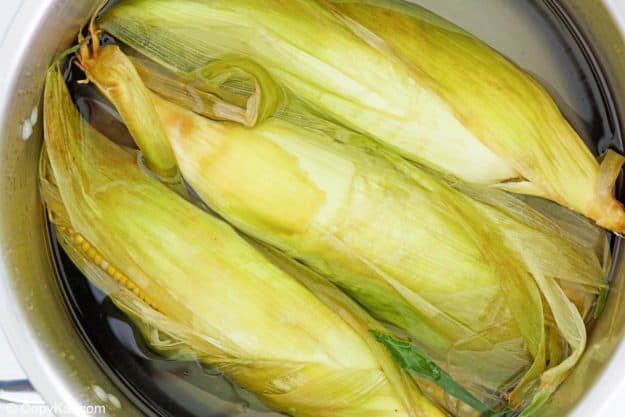 fresh corn with husk soaking in water