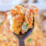 tarragon chicken casserole on a serving spoon.