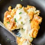 overhead view of a serving of tarragon chicken casserole with sauce on a plate.