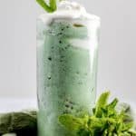 homemade McDonald's Oreo Shamrock McFlurry and fresh mint.