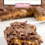 one turtle brownie.