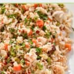 closeup of Thai chicken fried rice on a white plate.