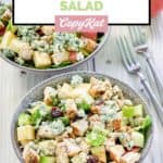 bowls of homemade apple pecan salad with chicken.