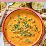overhead view of a bowl of pumpkin curry soup.