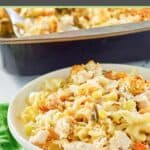 closeup of chicken noodle casserole serving on a plate.