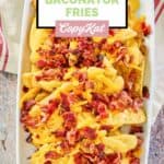 overhead view of homemade Wendy's baconator fries on a platter.