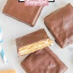 four copycat Girl Scout S'mores cookies