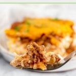 sour cream noodle bake on a fork.