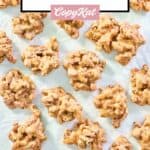 overhead view of homemade pecan pralines scattered on parchment paper.