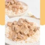 beef stroganoff over rice on a plate.