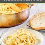 One pot chicken alfredo pasta on a plate and in a pot.