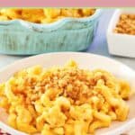 Macaroni and cheese with bread crumbs on a white plate.