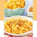 Homemade mac and cheese with bread crumb topping on a plate and in a baking dish.
