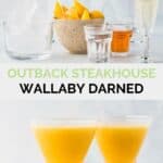 Copycat Outback wallaby darned ingredients and the finished cocktail.