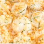 Closeup of baked scallops with Ritz cracker topping.
