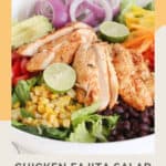 Closeup of chicken fajita salad with salsa verde dressing.