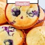 Closeup of plain and blueberry sweet muffins.