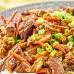 Closeup of teriyaki beef stir fry on a plate.