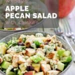 A bowl of homemade Wendy's apple pecan salad with chicken.