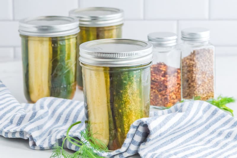 Homemade spicy dill pickles in mason jars and two spice jars.