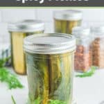 Homemade spicy pickles in mason jars and spice jars behind them.