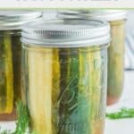 Closeup of homemade spicy pickles in a mason jar.