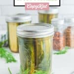 Jars of homemade spicy pickles and spices.