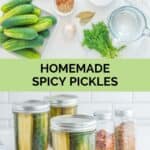 Spicy pickles ingredients and the pickles in mason jars.
