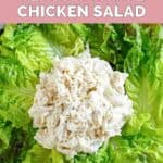 Overhead view of homemade Chicken Salad Chick Classic Carol chicken salad and lettuce leaves.