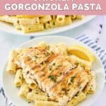 Homemade Biltmore Estate chicken gorgonzola pasta on a plate.