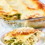 Chicken lasagna with asparagus and white wine sauce.