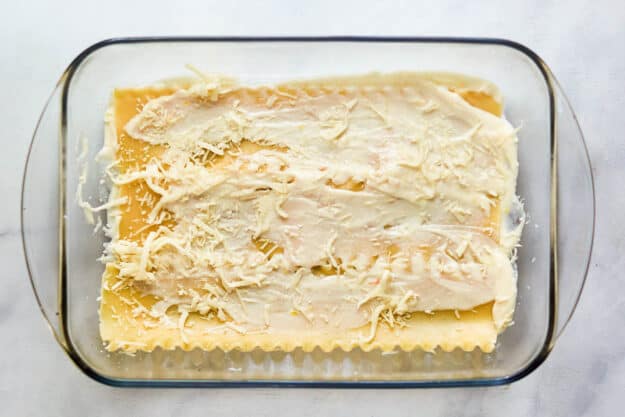 White sauce over lasagna noodles in a baking dish.