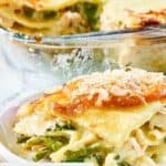 Closeup of chicken lasagna on a plate with the lasagna behind it.
