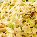 Closeup of copycat Macaroni Grill sugo bianco.