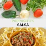 Copycat Pappasito's salsa ingredients and the salsa in a bowl with tortilla chips around it.