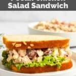 A homemade Arby's pecan chicken salad sandwich with grapes on a plate.
