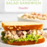 Homemade Arby's pecan chicken salad sandwich with lettuce on a plate.