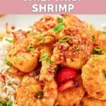 Homemade Panda Express chili crisp shrimp and rice garnished with green onions.