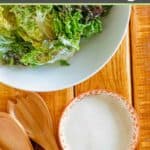 A salad and a bowl of homemade Japanese salad dressing.