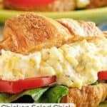 Homemade chicken salad chick egg salad sandwich with lettuce and tomato.